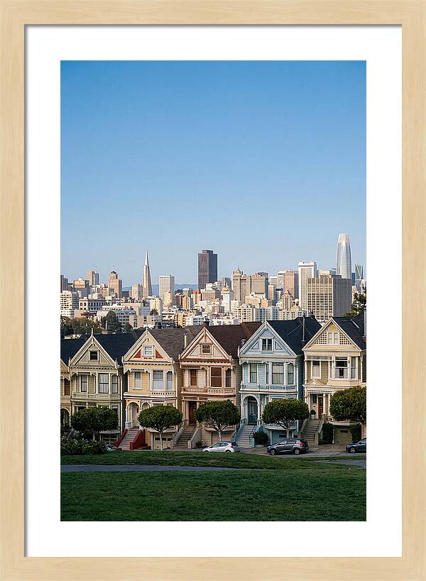 Painted Ladies Overlooking San Francisco