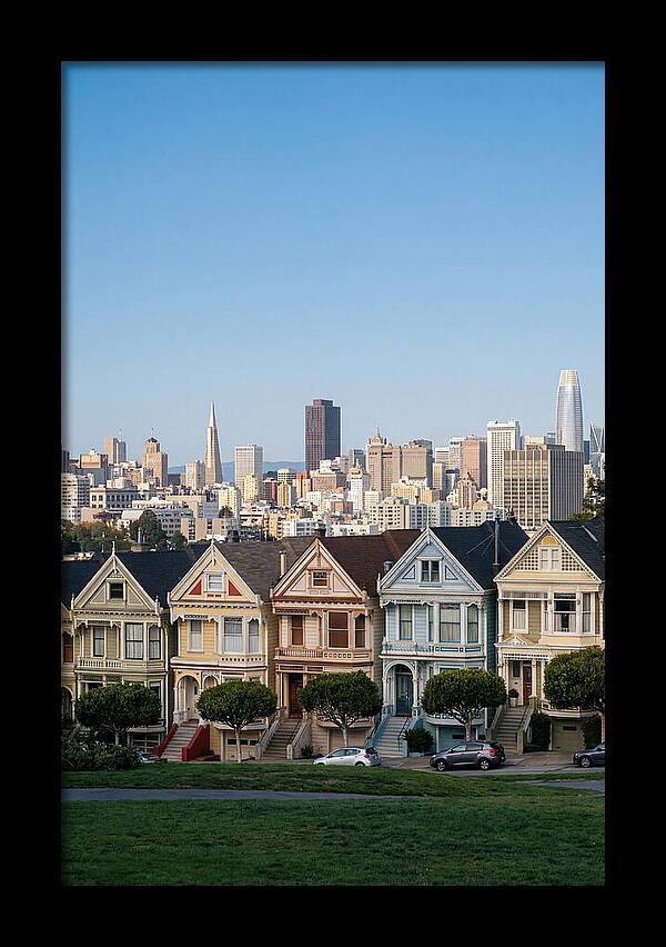Painted Ladies Overlooking San Francisco