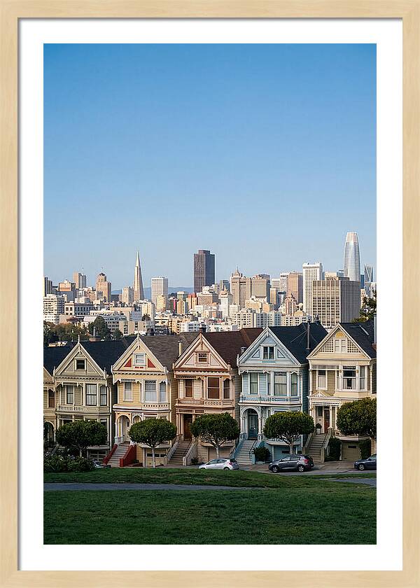 Painted Ladies Overlooking San Francisco