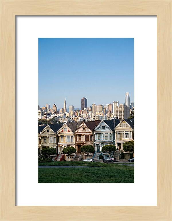 Painted Ladies Overlooking San Francisco