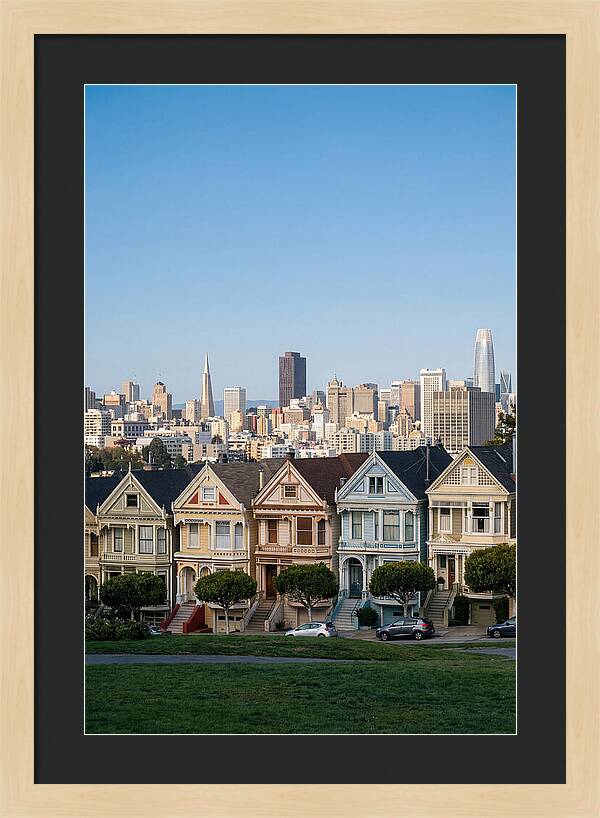 Painted Ladies Overlooking San Francisco