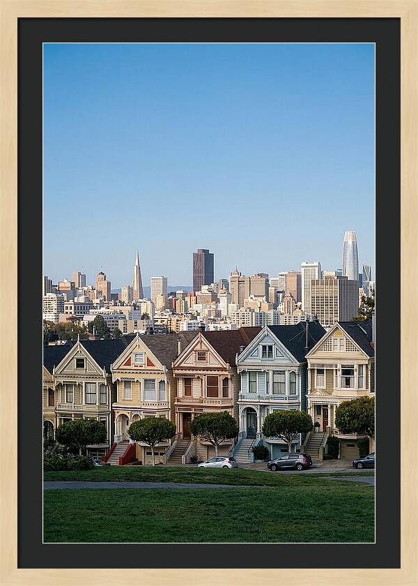 Painted Ladies Overlooking San Francisco