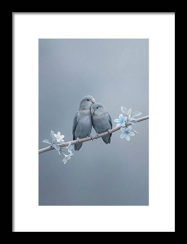 Pair Of Lovebirds Embracing