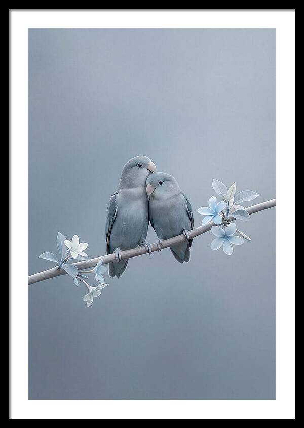 Pair Of Lovebirds Embracing