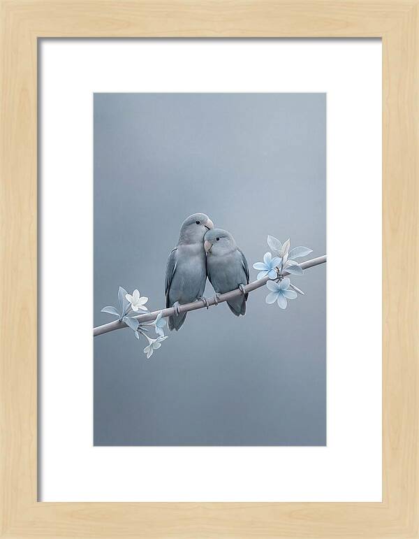 Pair Of Lovebirds Embracing