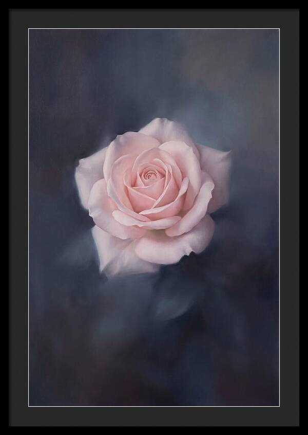 Pale Pink Rose Elegance