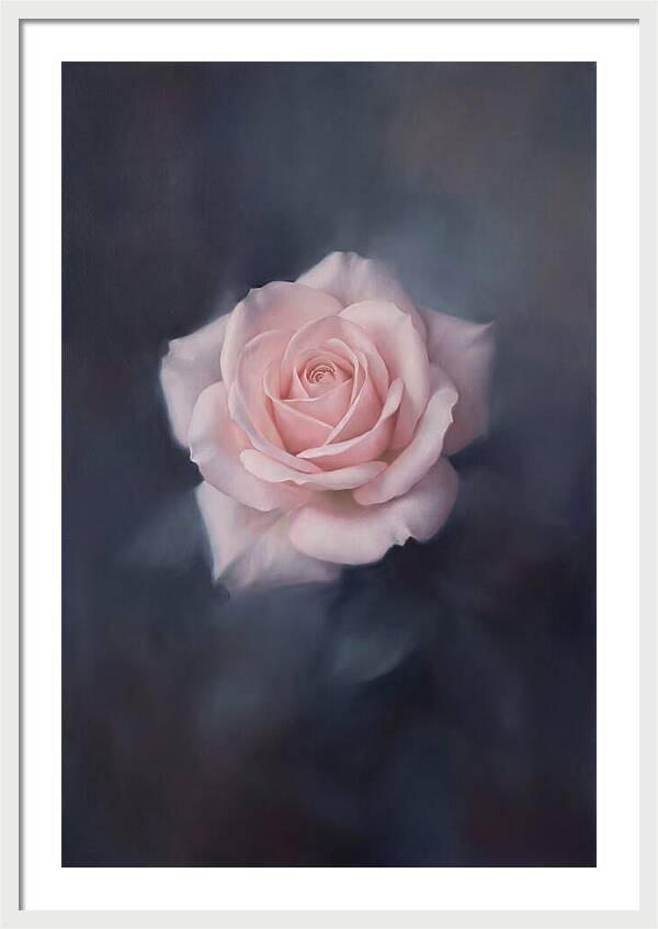 Pale Pink Rose Elegance