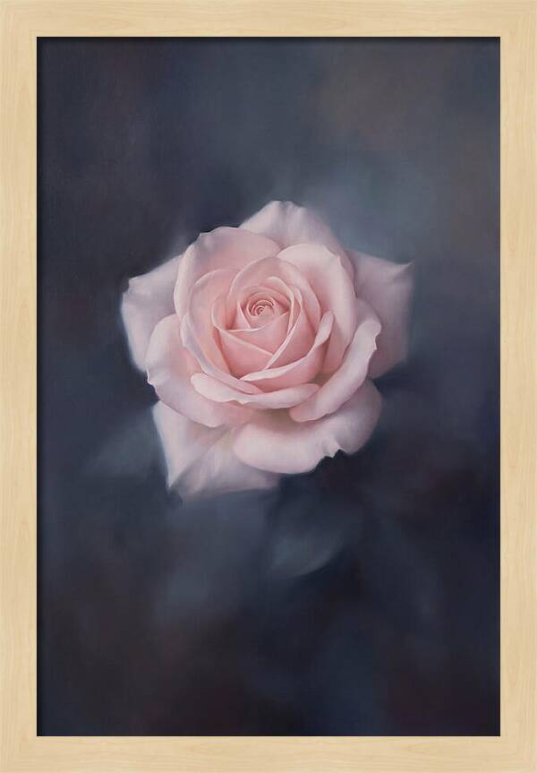 Pale Pink Rose Elegance