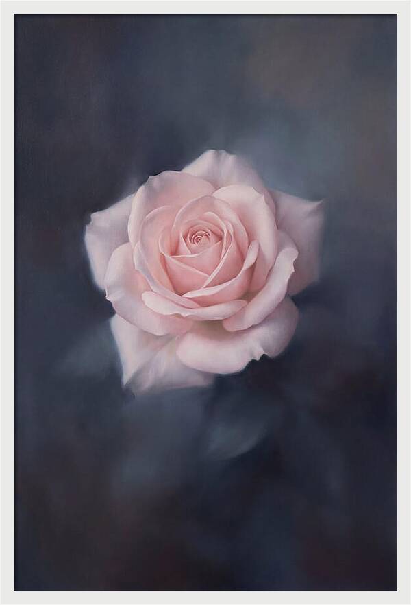 Pale Pink Rose Elegance