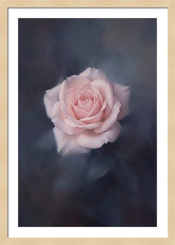 Pale Pink Rose Elegance