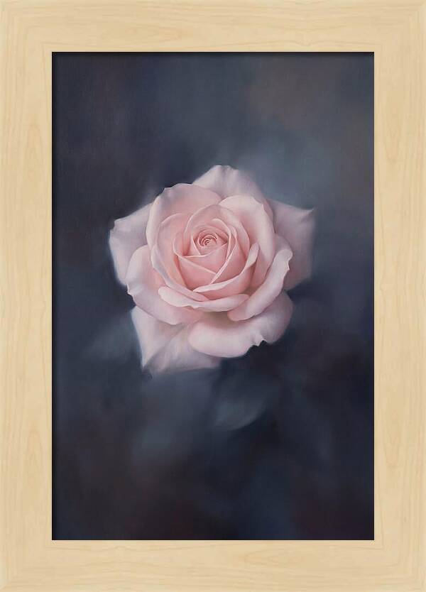 Pale Pink Rose Elegance