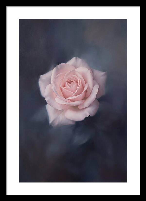 Pale Pink Rose Elegance