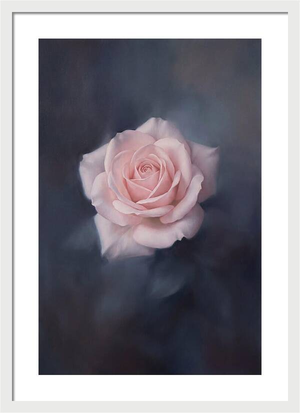 Pale Pink Rose Elegance