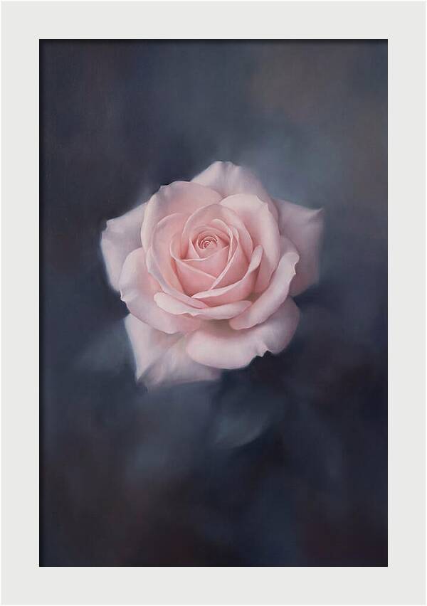 Pale Pink Rose Elegance