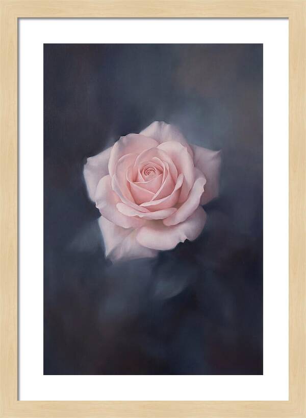 Pale Pink Rose Elegance