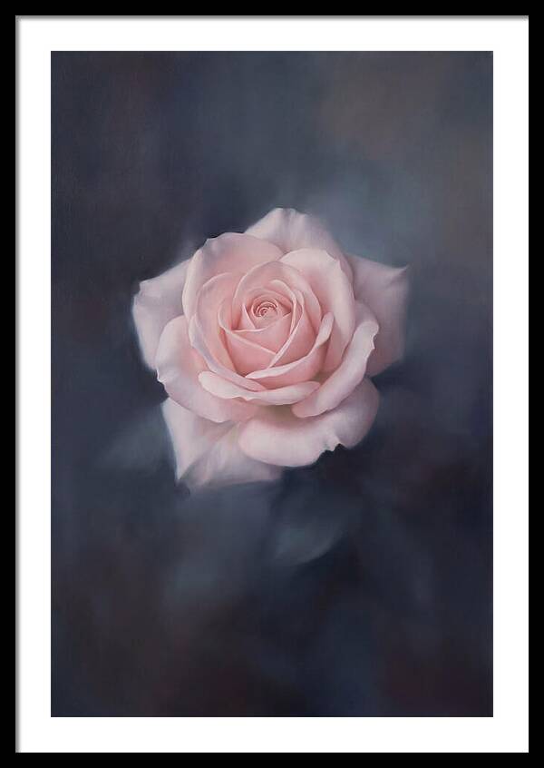 Pale Pink Rose Elegance