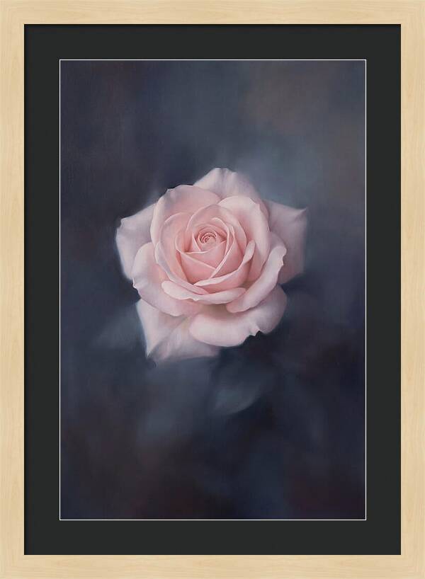 Pale Pink Rose Elegance