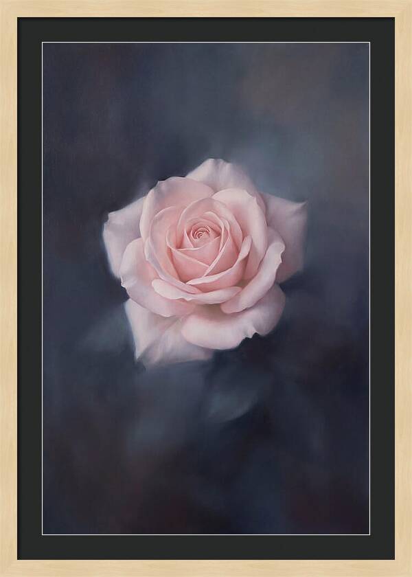 Pale Pink Rose Elegance