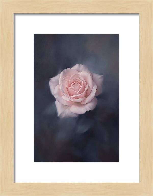 Pale Pink Rose Elegance