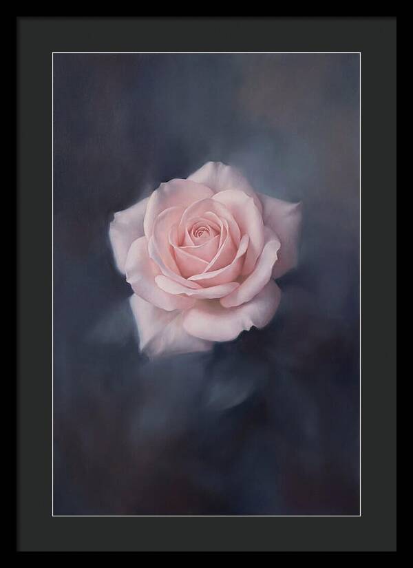 Pale Pink Rose Elegance
