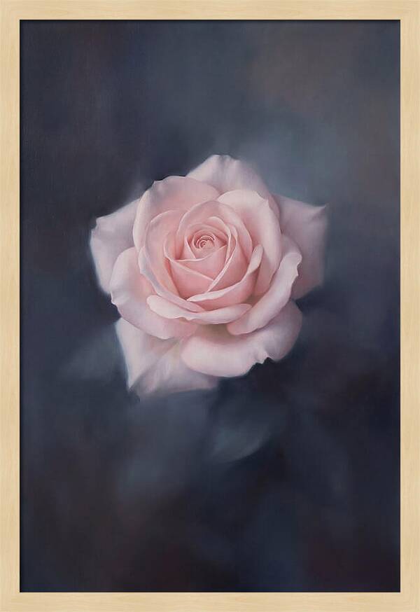 Pale Pink Rose Elegance