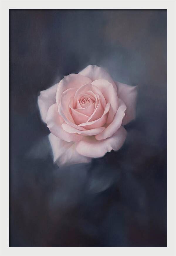 Pale Pink Rose Elegance