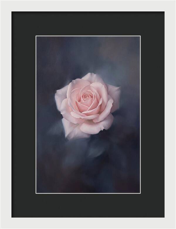 Pale Pink Rose Elegance