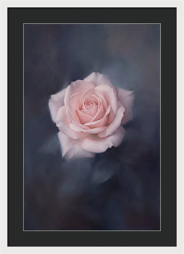 Pale Pink Rose Elegance