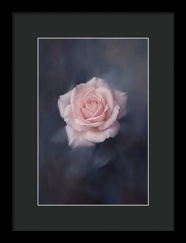 Pale Pink Rose Elegance