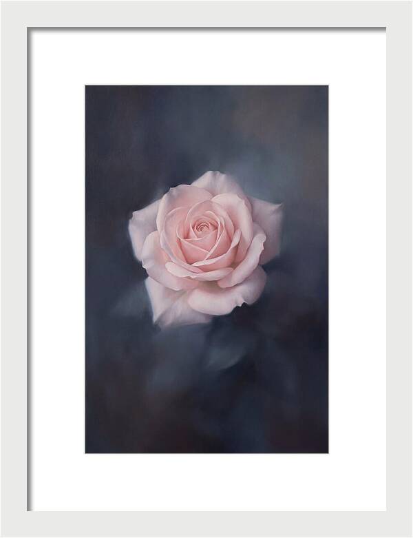 Pale Pink Rose Elegance