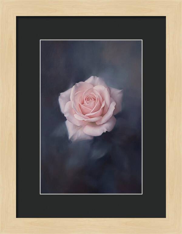 Pale Pink Rose Elegance