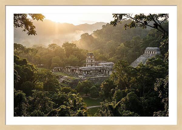 Palenque Ruins At Sunrise