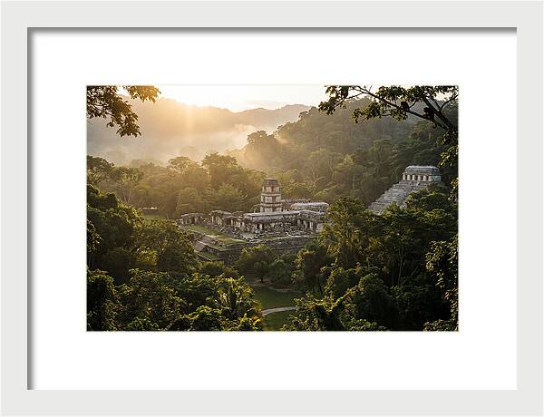 Palenque Ruins At Sunrise