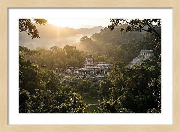 Palenque Ruins At Sunrise