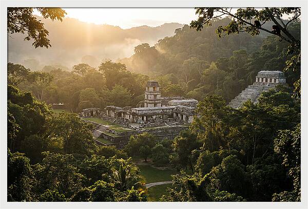 Palenque Ruins At Sunrise