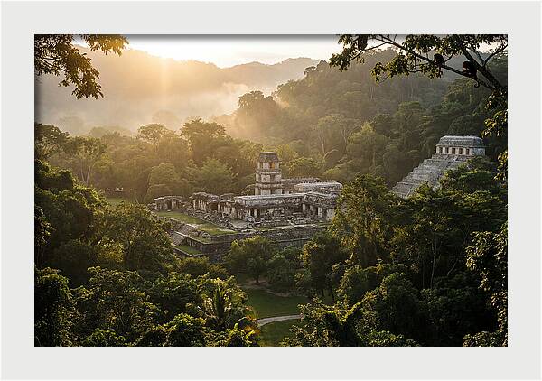 Palenque Ruins At Sunrise