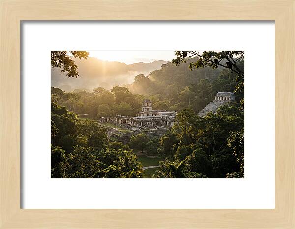 Palenque Ruins At Sunrise