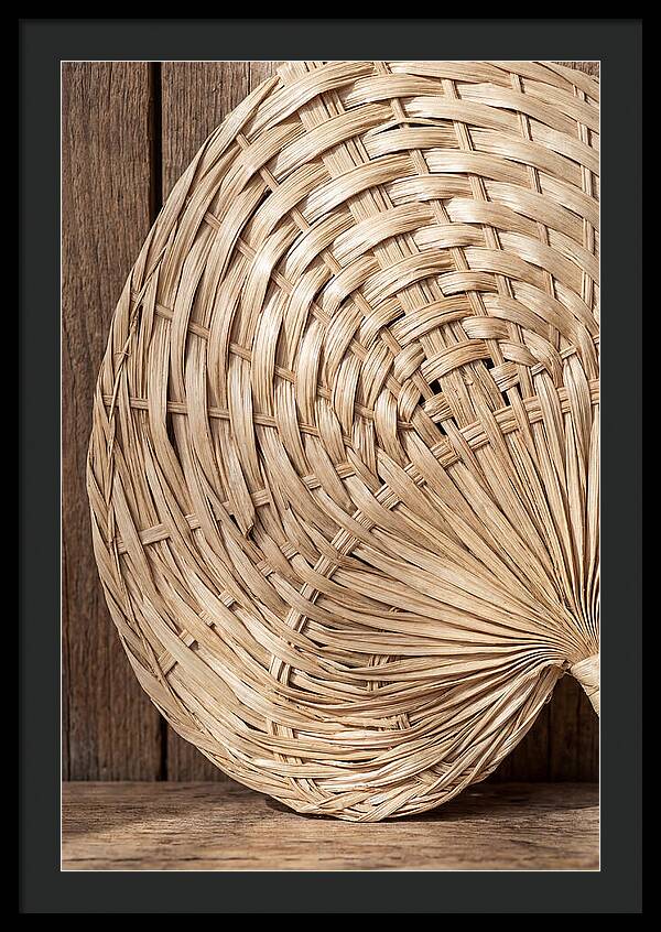 Palm Leaf Fan Pattern