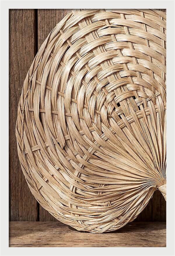 Palm Leaf Fan Pattern