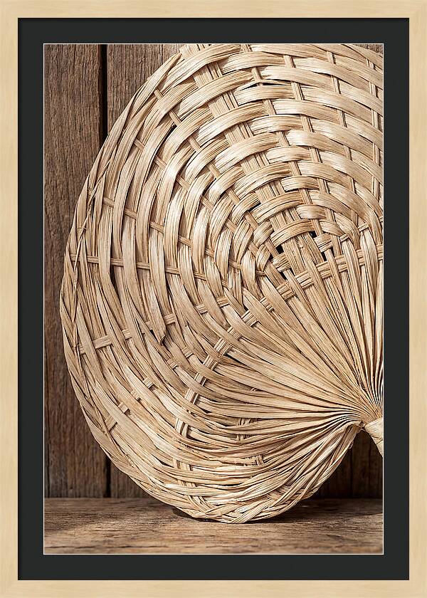 Palm Leaf Fan Pattern