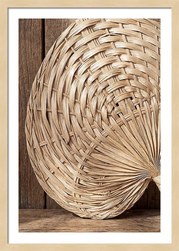 Palm Leaf Fan Pattern