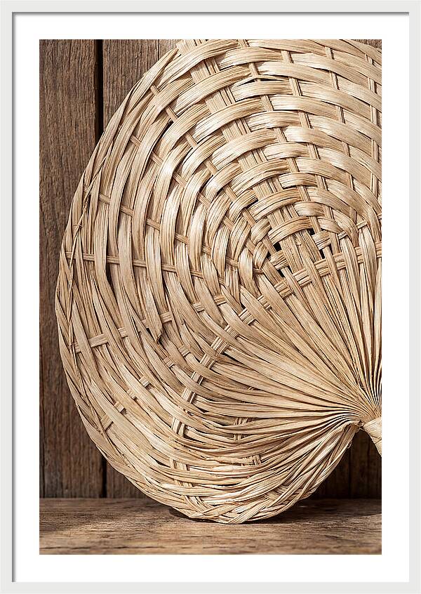Palm Leaf Fan Pattern