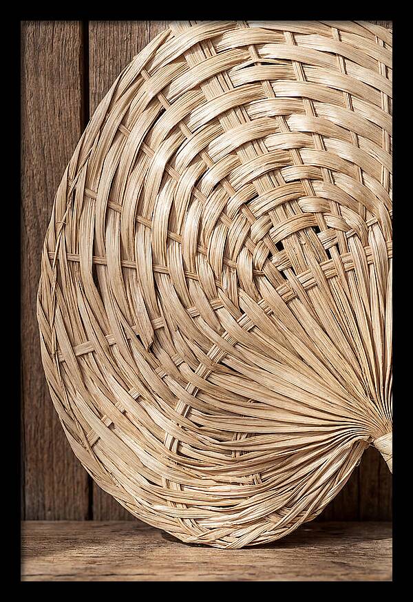 Palm Leaf Fan Pattern