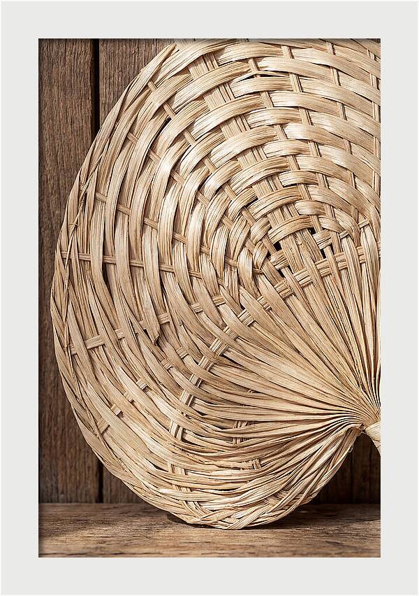 Palm Leaf Fan Pattern
