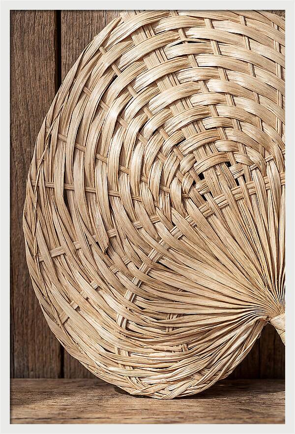Palm Leaf Fan Pattern