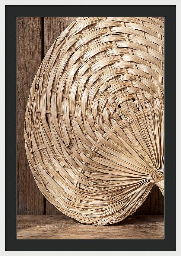 Palm Leaf Fan Pattern