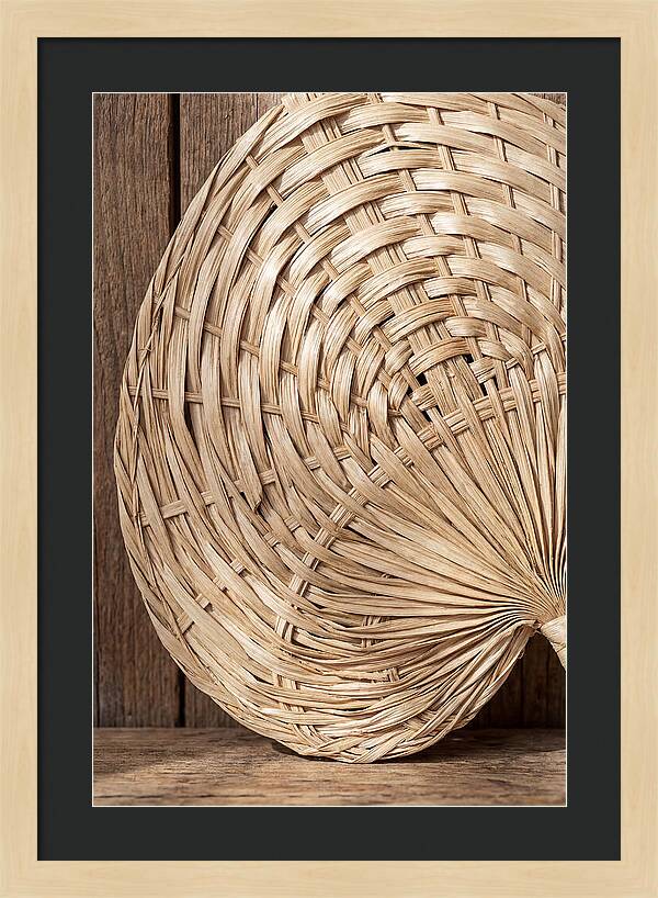 Palm Leaf Fan Pattern