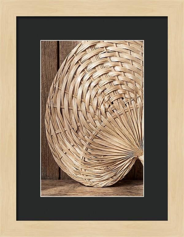 Palm Leaf Fan Pattern