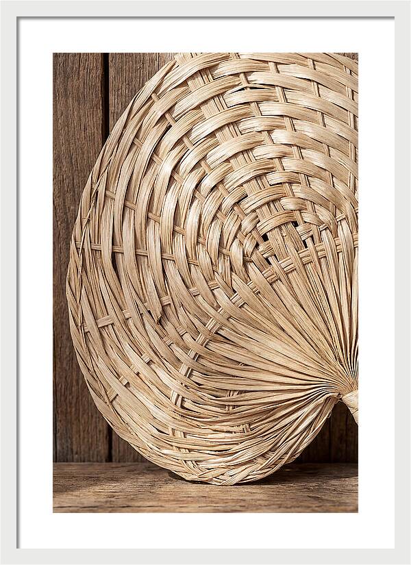 Palm Leaf Fan Pattern