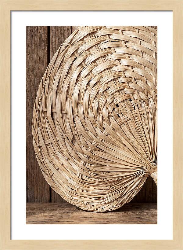 Palm Leaf Fan Pattern